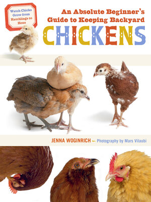 cover image of An Absolute Beginner's Guide to Keeping Backyard Chickens